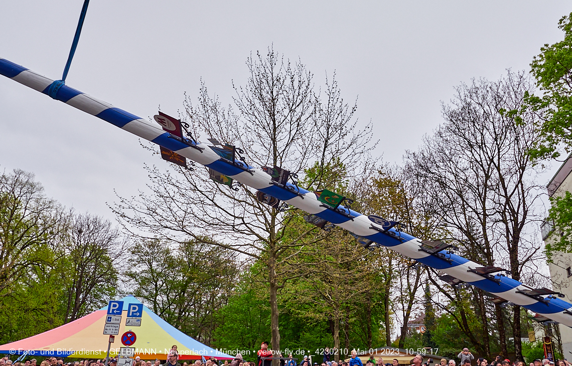 01.05.2023 - Maibaumaufstellung in Berg am Laim